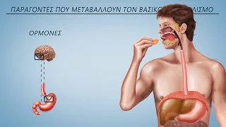 mq4