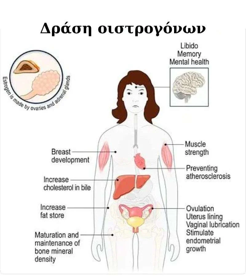 Ανώνυμο 800 x 900