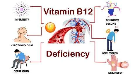 vit vit-vitamin-b12-deficiency-symptoms